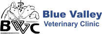 Blue Valley Vet Logo